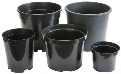 Standard Round Pots